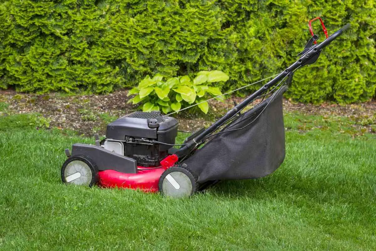 How To Store a Lawn Mower Outside Without a Shed