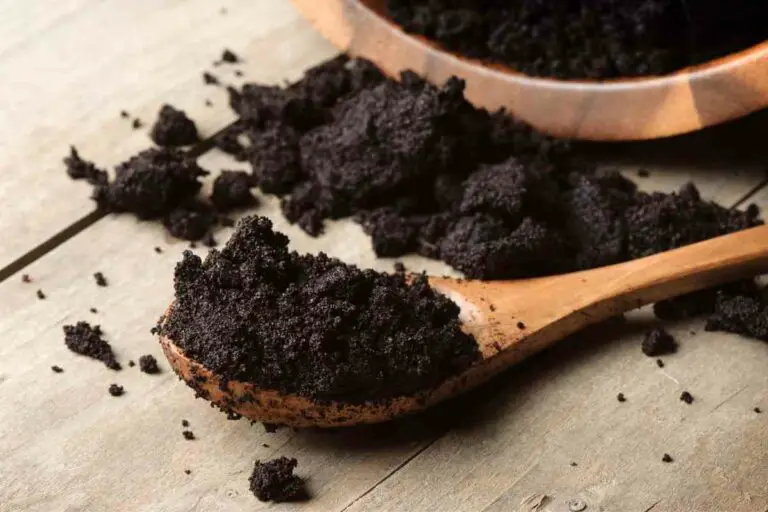 Composting With Coffee Grounds – Plant Benefits