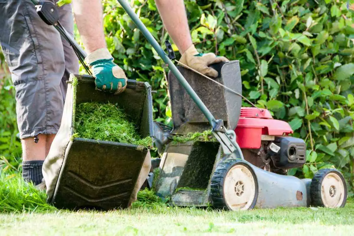 How To Cut Grass Before Winter