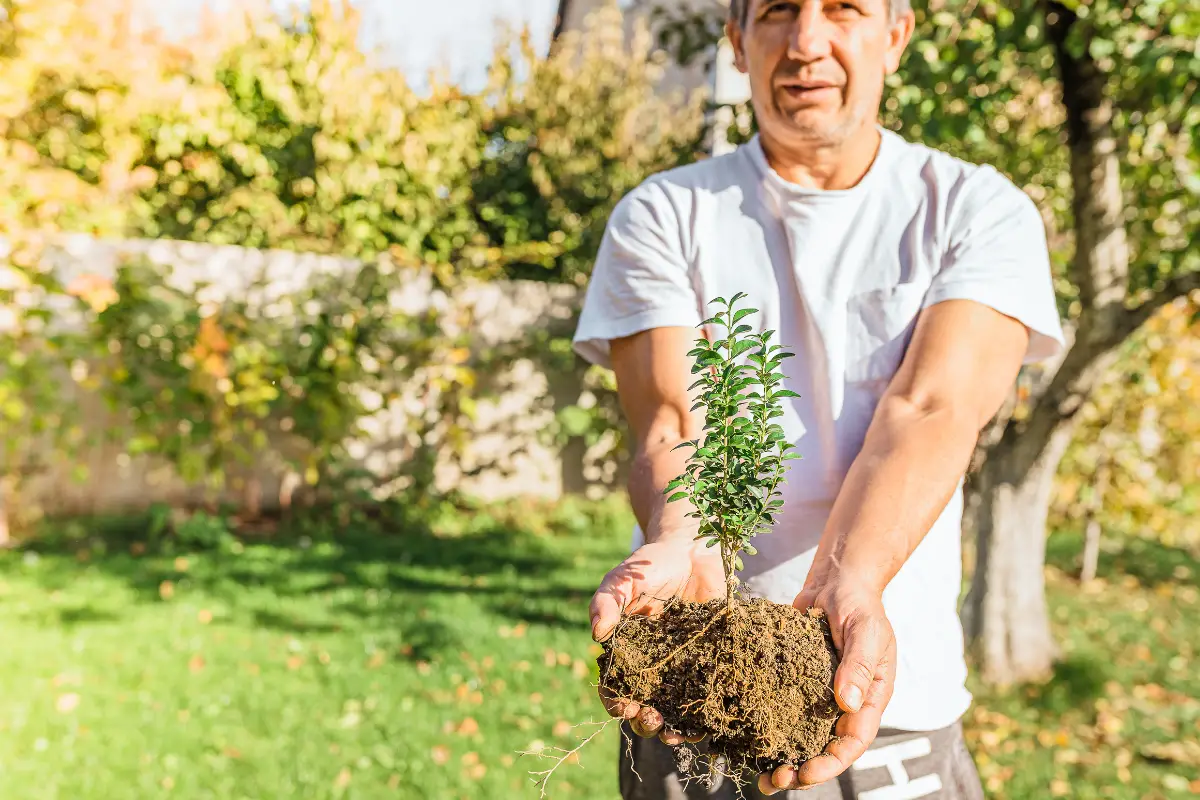 what-not-to-grow-in-a-greenhouse-a-guide-to-plants-that-don-t-thrive